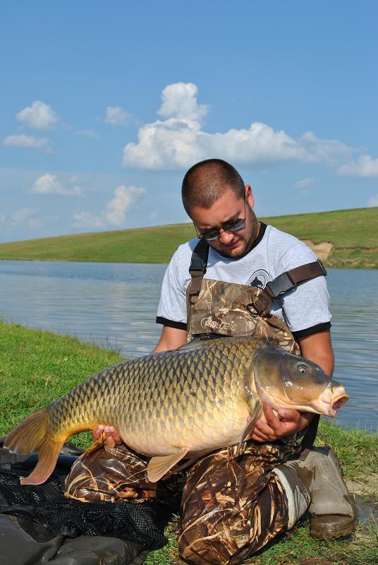 crapi - 67ac1e9e-a87c-41a8-8f70-bc197875297f.jpg